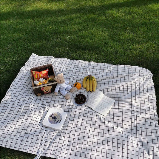 Cozy Outdoor Picnic – Checkered Blanket