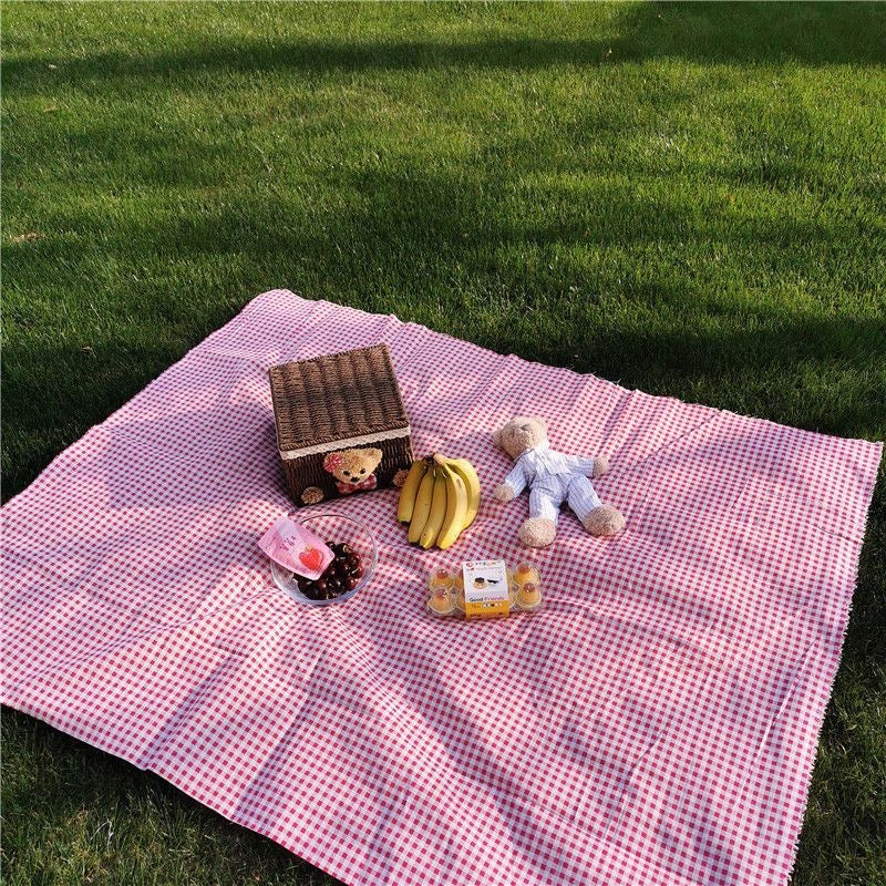 Cozy Outdoor Picnic – Checkered Blanket